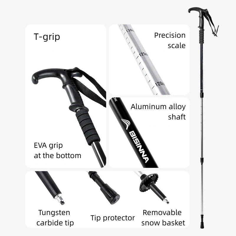 BISINNA 2 Stück Wanderstöcke m – Trekking Pole Carbon Bewertung und Preis